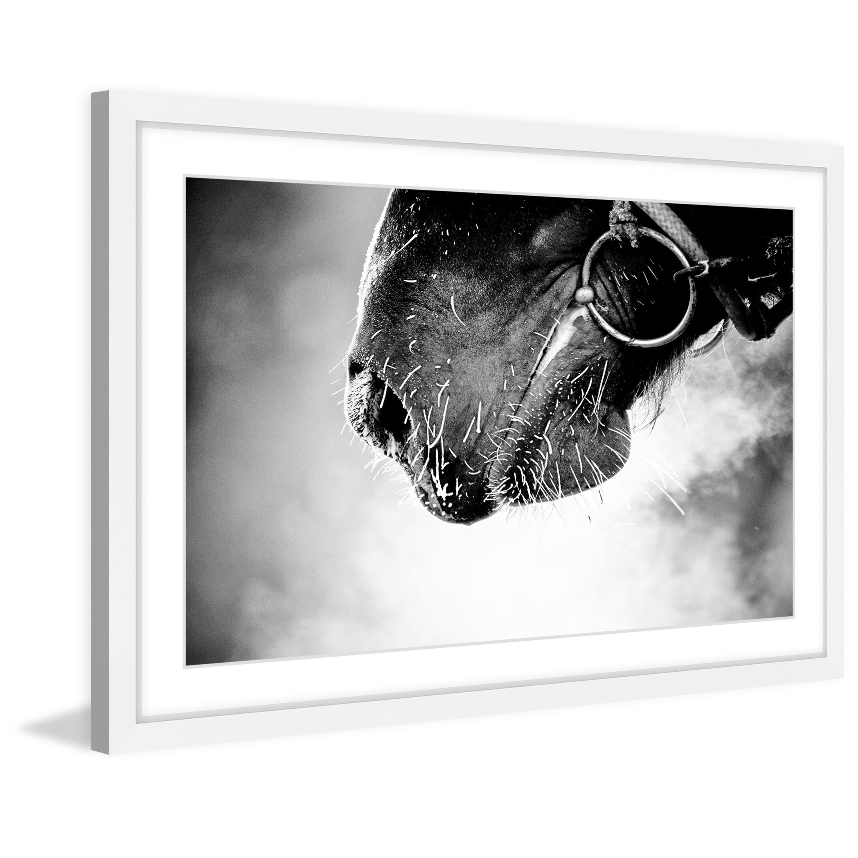 Marmont Hill "Muzzle" Framed Painting Print