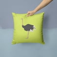 thumbnail image 2 of Carolines Treasures BB7750PW1414 Common Ostrich Green Fabric Decorative Pillow, 14 x 14 in., 2 of 4