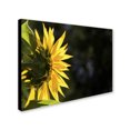 thumbnail image 2 of Trademark Fine Art "Facing the Sun" Canvas Art by Kurt Shaffer, 2 of 3