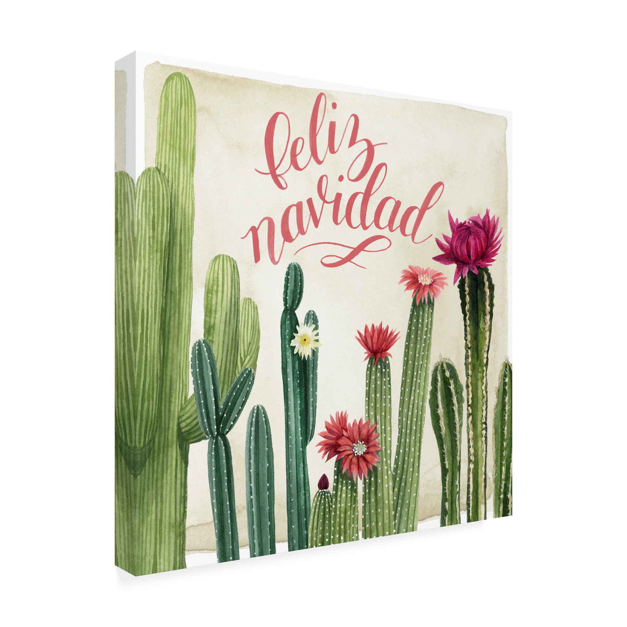Trademark Fine Art 'Christmas Cactus I' Canvas Art by Grace Popp