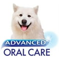 thumbnail image 5 of Nylabone Advanced Oral Care Liquid Tartar Remover BULK - 192 oz - (12 x 16 oz), 5 of 5