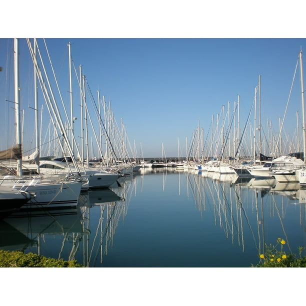 Marina Porto Civitavecchia Italia Boats 20 Inch By 30 Inch Laminated Poster With Bright Colors And Vivid Imagery Fits Perfectly In Many Attractive Frames Walmart Com Walmart Com