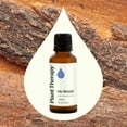thumbnail image 4 of Plant Therapy Ho Wood Essential Oil 30 mL (1 oz) 100% Pure, Undiluted, Natural Aromatherapy, 4 of 8