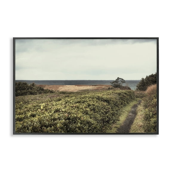 Stupell Industries Serene Coastal Pathway Landscape & Nature Photography Black Framed Art Print Wall Art, 18 x 12