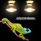 thumbnail image 4 of Luz para reptiles, luz de calor nocturna de 220-230 V, bombilla calefactora, luz calefactora de precisión diseñada, 4 of 7