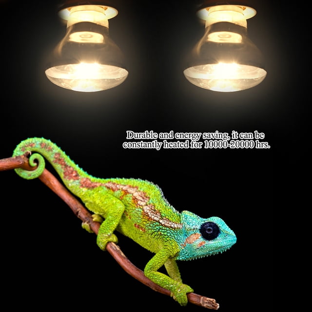 4Tipes 220-230V Bolba de la Luz de la Luz de Aromenta para Bird Snake Reptile Pet Amphibian