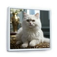 thumbnail image 2 of Designart "Sophisticated Exotic Shorthair Cat" Animals Cat Floater Framed Canvas Prints, 2 of 5