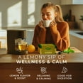 thumbnail image 2 of Gya Tea Co Lemon Balm Herbal Tea Pod (16 ct) - Decaf Nature Tea with Orange Peel for Refreshing & Digestion Health, 2 of 8