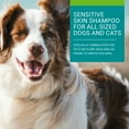 thumbnail image 3 of Vetoquinol Care Shampoo for Sensitive Skin â€“ for Dogs and Cats â€“ 275 ml, 3 of 3