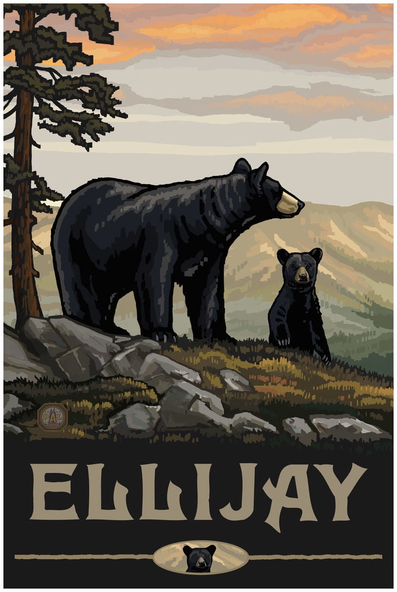 Ellijay Black Bear Family Giclee Art Print Poster by Paul A