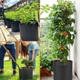 thumbnail image 7 of Grow Bags 10 Gallon 5 Pack Fabric Pots Heavy Duty 300g Thickened Nonwoven Grow Bags with Handles for Vegetable Fruits Flowers Indoor Outdoor Garden Pots for Plants(16" Dia x 12" H), 7 of 7
