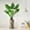 Monstera Plant, variant on Artificial Tree in Modern Contemporary Planter, Fake Ficus Silk Tree for Indoor and Outdoor Home Decoration - 75" Overall Tall (Plant Pot Plus Tree)