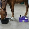 thumbnail image 6 of Little Giant DuraTote Box Organizer w/ 2 Compartment & Grip Handle, Purple, 6 of 12