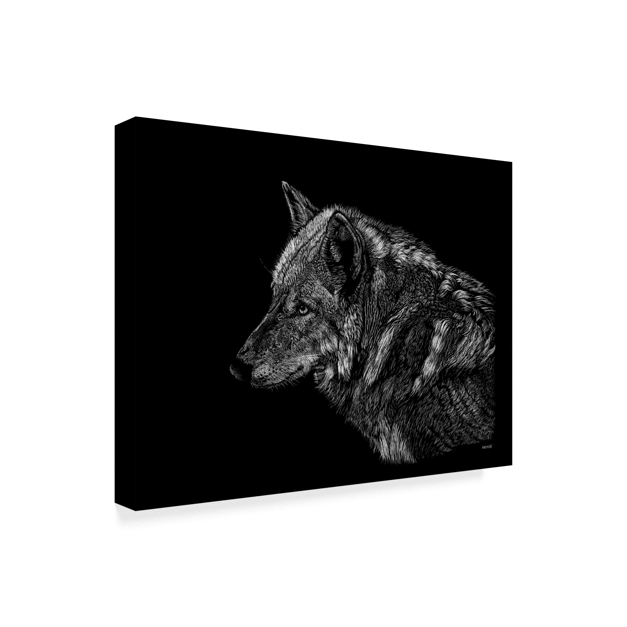 Trademark Fine Art 'Wolf On Black' Canvas Art by Geraldine Aikman