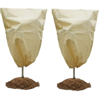 Easy Gardener 14680 Ross Tree