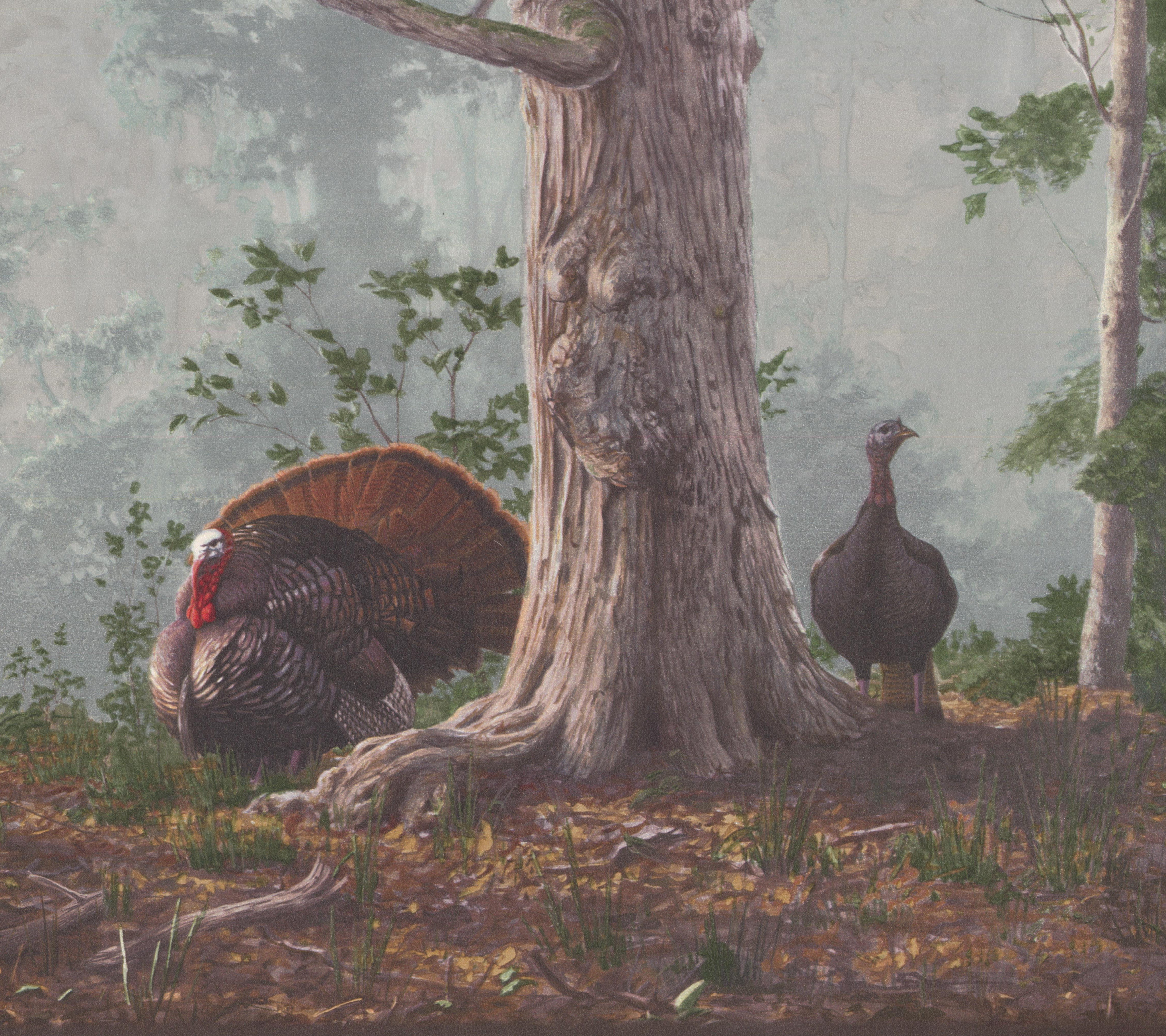 Turkeys in the Forest Brown Green Nature Wide Wallpaper Border Retro Design Roll 15 x 10.5