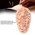 thumbnail image 4 of Acupressure Ear Beads, Portable Easy To Use Ear Beads Auricular Sticker Kit  for Health Care, 4 of 8
