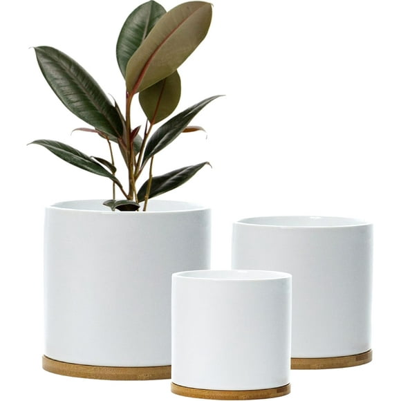 Set med keramiska blomkrukor, inomhusblomkruka, vit kruksett, keramisk blomkruka, behållare, utomhus, stor med fat (vit)