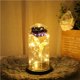thumbnail image 4 of Naiovety Rosa eterna LED con cúpula de cristal Flor de lámina de oro de 24 quilates y una de cuento de hadas Regalo de San Valentín Almacenamiento y organización del hogar Naiovety HA023427-00, 4 of 6