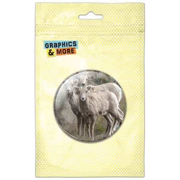 Bighorn Sheep Trio Pinback Button Pin Badge