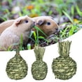 thumbnail image 4 of Eisoary Pet Chew Toy Fruit Shape Natural Grass Relieve Boredom Rabbit Hamster Chinchilla Guinea Pig Squirrel Gerbil Teeth Cleaning Toy Pet Supplies Apple, 4 of 13
