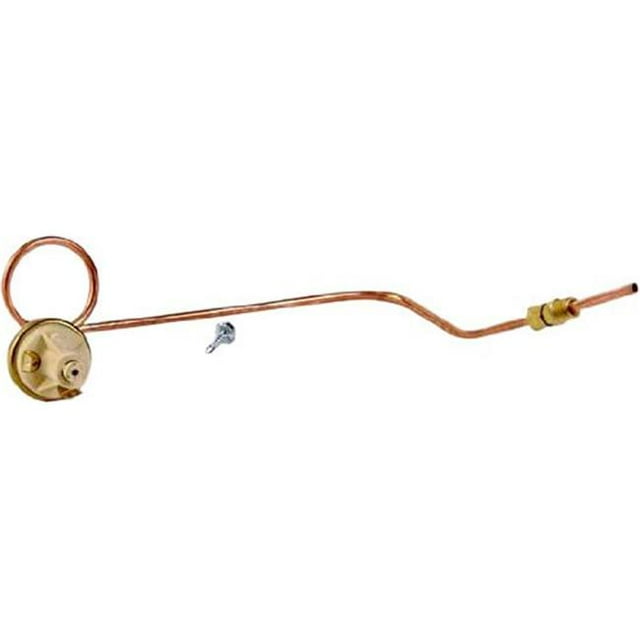 Champlain Plastics Electrical Component Pressure Switch and Synphon Loop