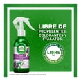 thumbnail image 4 of Spray neutralizador de olores Air Wick lavanda y lirios del valle 237 ml, 4 of 4