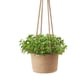 thumbnail image 4 of Macetas para decoración de pared, 2 cestas trenzadas para plantas, cesta trenzada para plantas, artesanía excepcional, 4 of 8