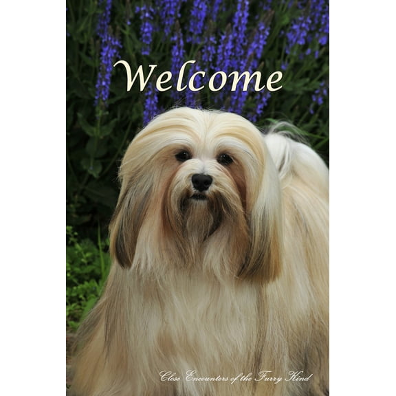 Lhasa Apso - Best of Breed CEFK Welcome Photo House Flag