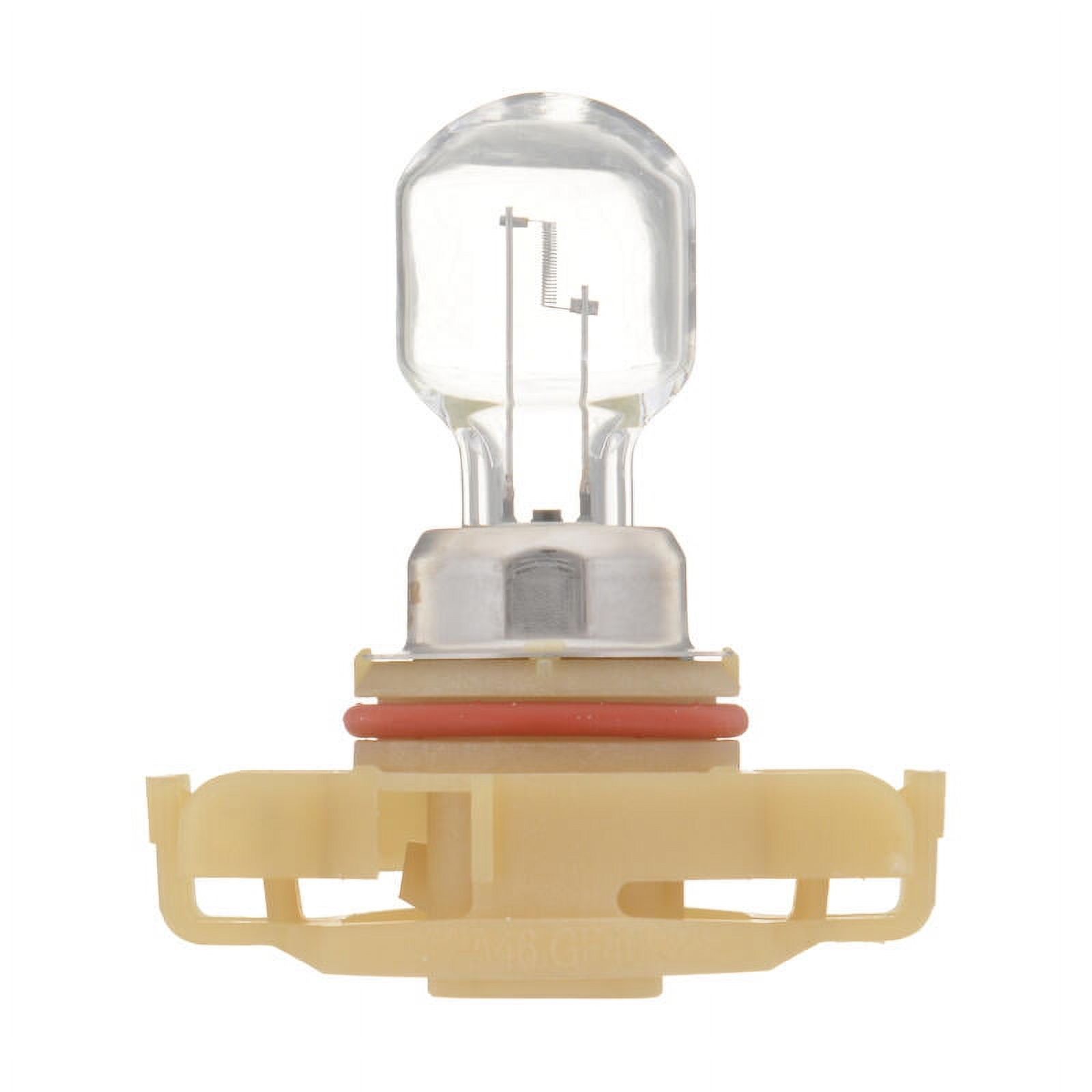 Philips Clear Halogen Fog Lamp Automotive Bulb