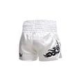 thumbnail image 2 of Haitryli Kids Boys Muay Thai Shorts Martial Arts MMA Kickboxing Shorts Youth Boxing Shorts Metallic A White S, 2 of 5