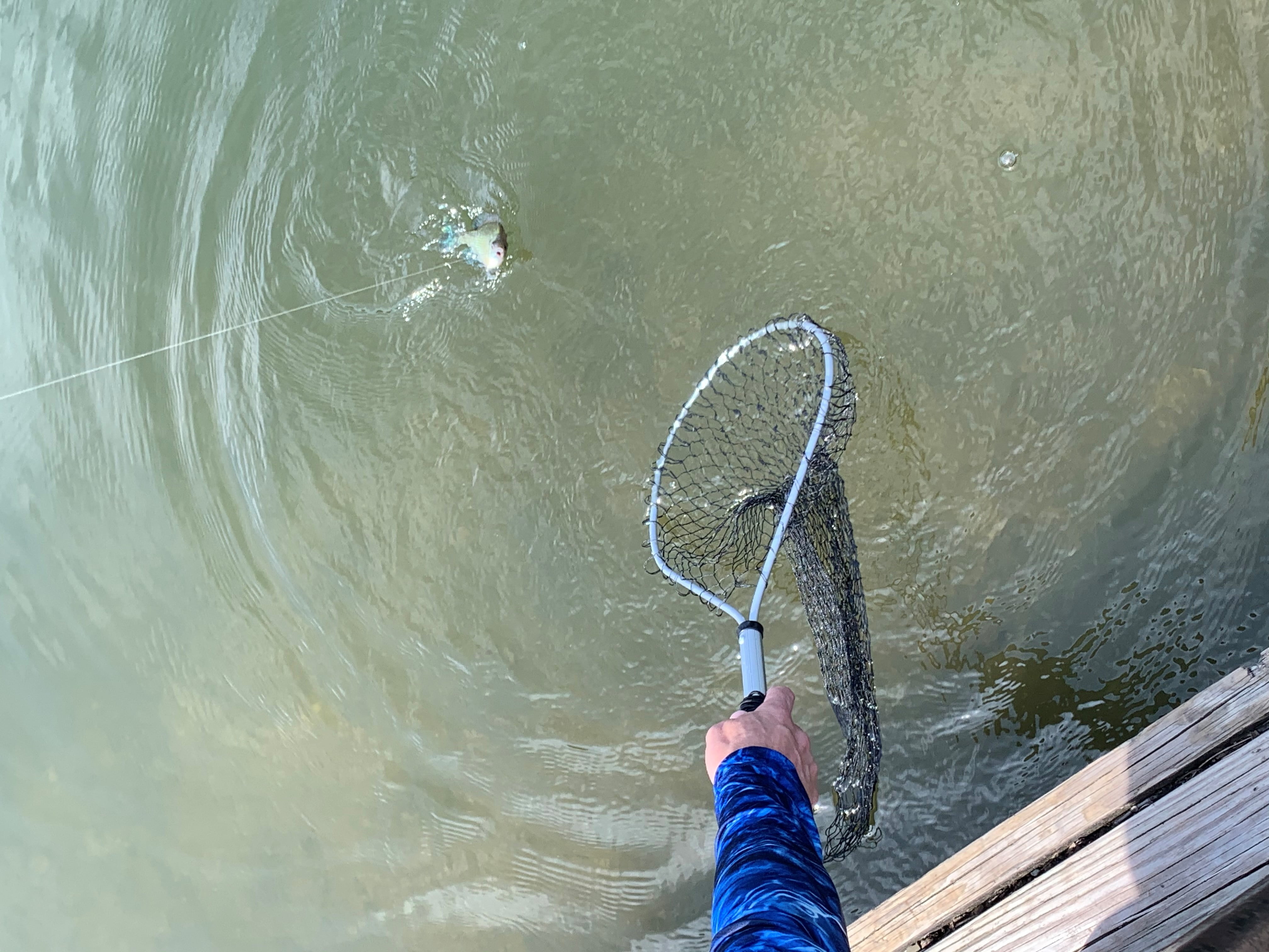 Frabill Aluminum Handle Wade Net, 11 in x 15 in
