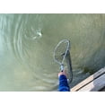 thumbnail image 4 of Plano Molding Frabill 3669 Teardrop Trout Net, 4 of 5