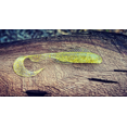 thumbnail image 1 of Fish or Die Bait Company Cabeza de mármol (agua salada), 1 of 1