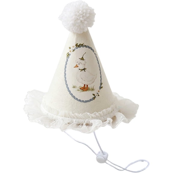 Wiywef Lace Princess Style Birthday Hat Non-Woven Fabric Conical Hat for Party Photo Props