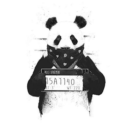 Hautman Black Bear - Bad Panda | Black And White Panda Bear; One 11x14in Poster Print