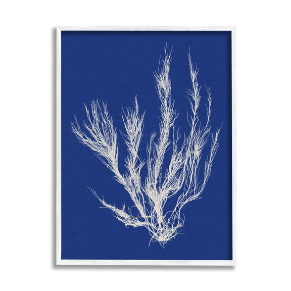 Stupell Industries Coral Seaweed Blue White Beach Design Graphic Art White Framed Art Print Wall Art, 24x30, by Vision Studio