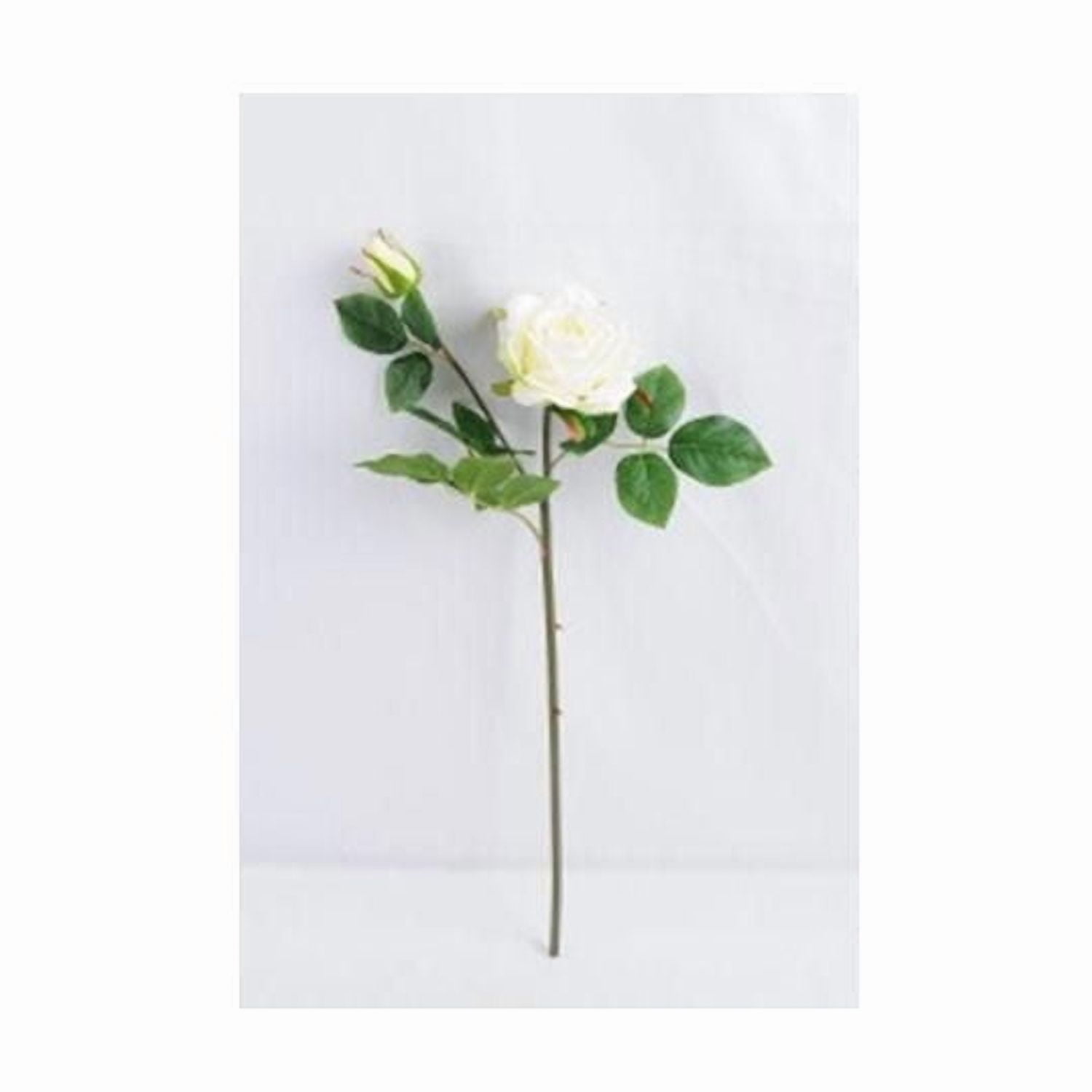 Lerman Decor's White Rose, Single stem white rose