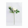 thumbnail image 2 of Lerman Decor's White Rose, 2 of 2