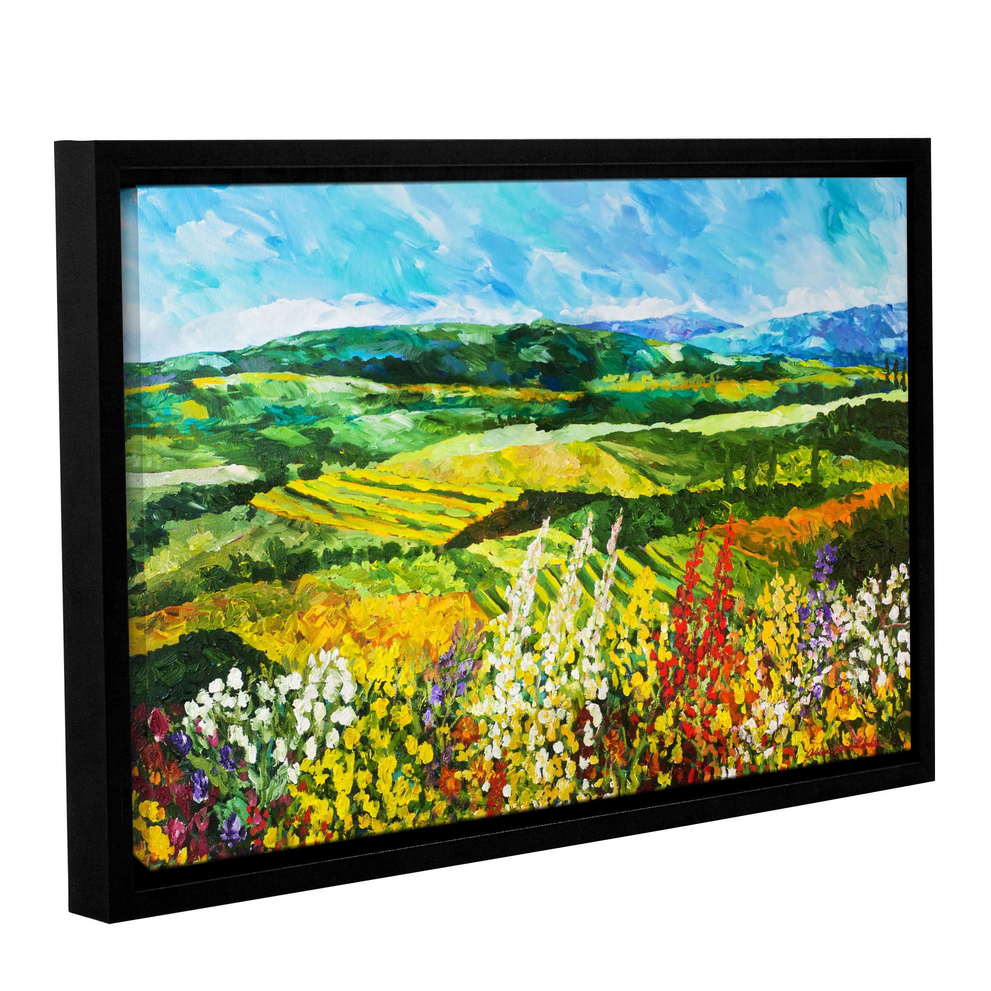 ArtWall Allan Friedlander "Change is in the Air" Gallery-Wrapped Floater-Framed Canvas