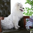thumbnail image 3 of Eye-Catching Pet Skirt Wear-Resistant Teddy Dog Lace Style Wedding Dress - Enhance Your Pet's Photogenic Look, 3 of 8