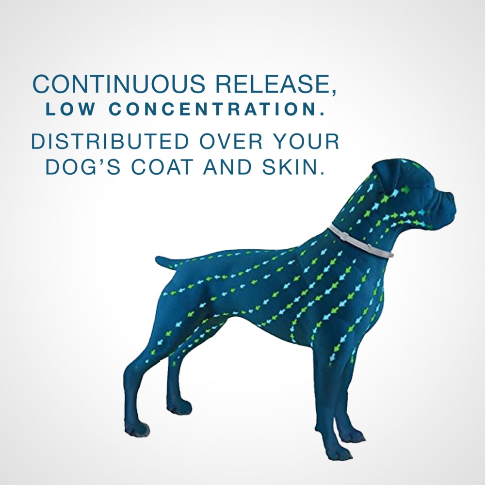 Seresto Large Dog Vet Recommended 8 Month Flea Tick Prevention