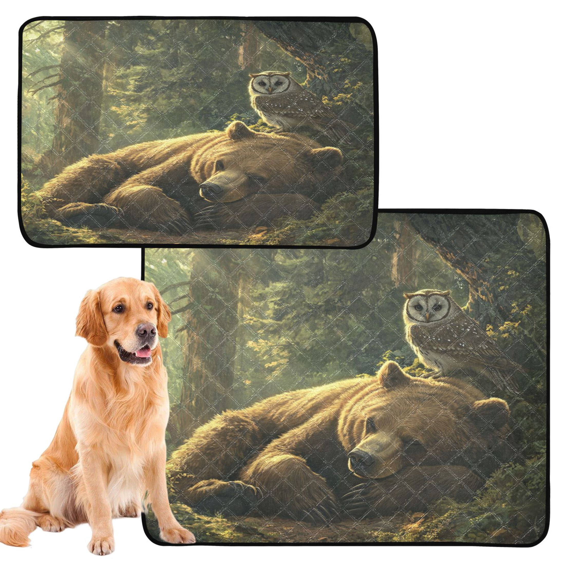 Qxltty Brown Bear Owl Resting Together Cat litter Pads Pet Set of 3 Diaper Mats Center Anti-leakage Layer Absorbent Soft and Comfortable