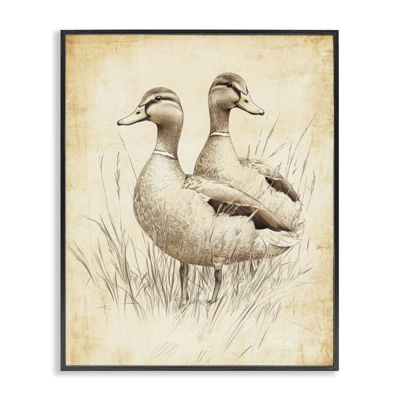 Stupell Industries Traditional Vintage Pair of Ducks Black Framed Giclee Art, 11 x 14, by Petals Prints Design