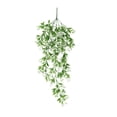 thumbnail image 1 of Bewildely ABS falso ratán colgante de pared simulación decorativa Color sólido vivo hogar Oficina de comedor planta Artificial Decoración Blanco, 1 of 6