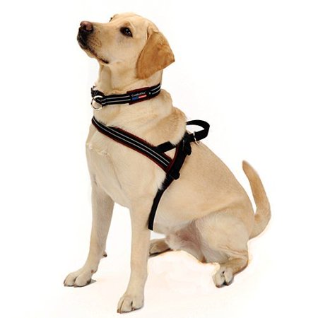 Comfortflex Cfshbjs Comfortflex Sport Harness Blue Jay Color S