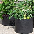 thumbnail image 3 of Bolsa de cultivo de 5 galones de tela no tejida con asas, maceta gruesa para plantas, verduras, fresas y hierbas., 3 of 8