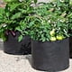 thumbnail image 3 of Bolsa de cultivo de 5 galones de tela no tejida con asas, maceta gruesa para plantas, verduras, fresas y hierbas., 3 of 8