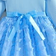 thumbnail image 4 of Tkrady Dress for Girls Autumn Winter New Long Sleeve Mesh Sparkly Cute Sweet Dresses, Sizes 1-6 Years, 4 of 6