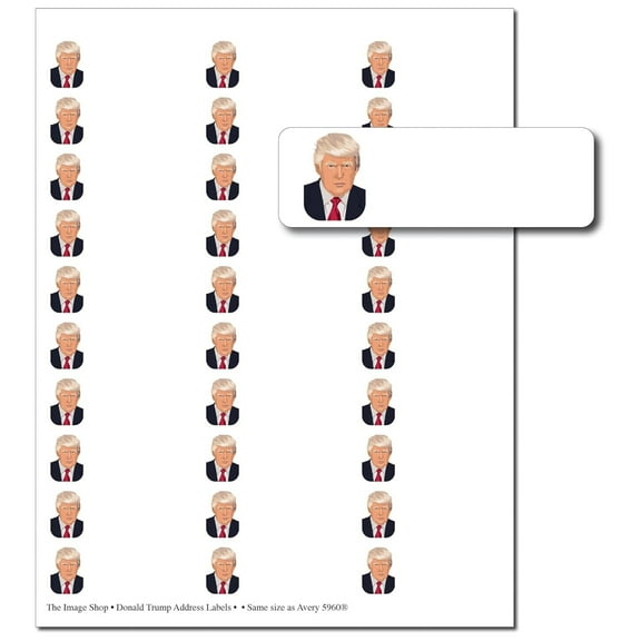 Donald Trump Address Labels - 1" x 2-5/8" - 30 per Sheet - Total of 150 Labels (oal994)
